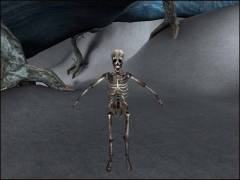 Boney Boney