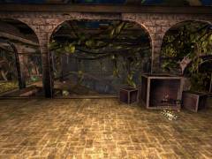 CTF-{Fs}-DeckTemple - Russian Tournament